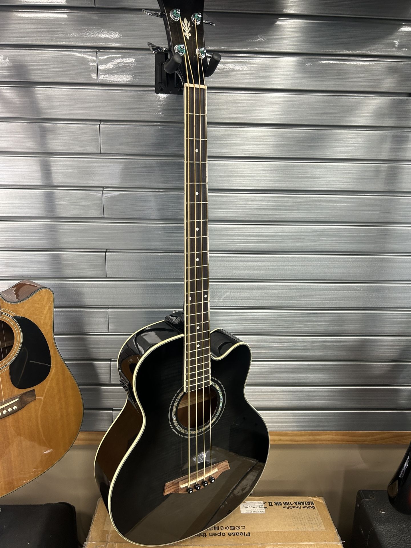 IBANEZ ACOUSTIC BASS (4-String)