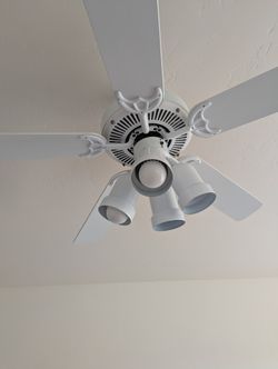 Ceiling Fan