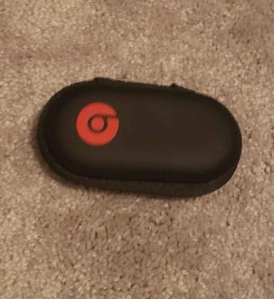 Hard Case For Beats Earbuds-Zipper Case With Inside Pouch