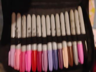Sharpie Markers Reg & Fine Point W/ Case