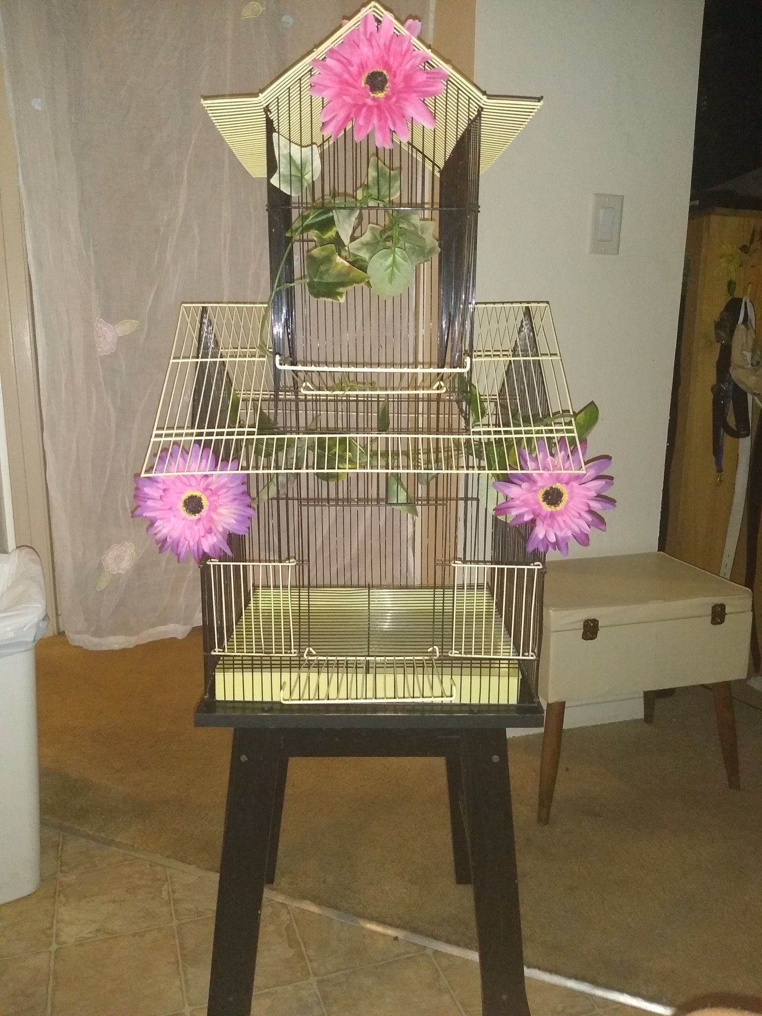 Bird cage