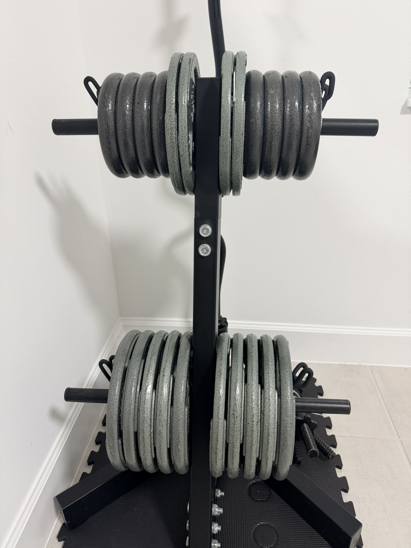 Standard weight set