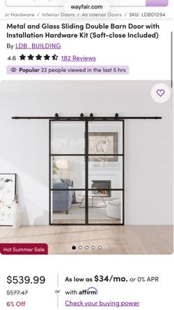Glass Double Barn Door