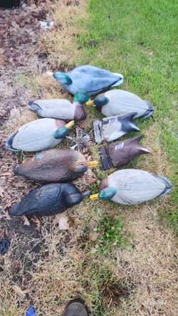 Duck decoys