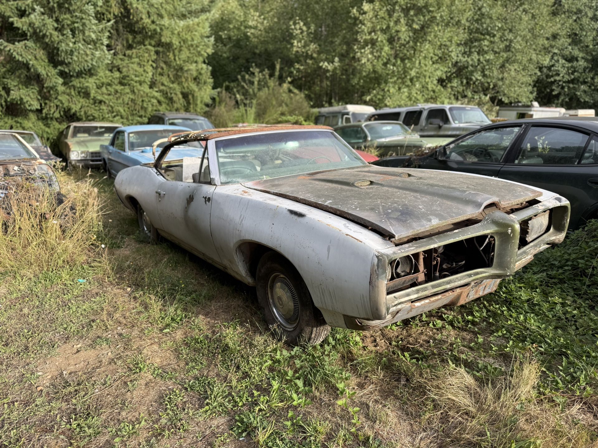 Classic Cars For Sale GTO