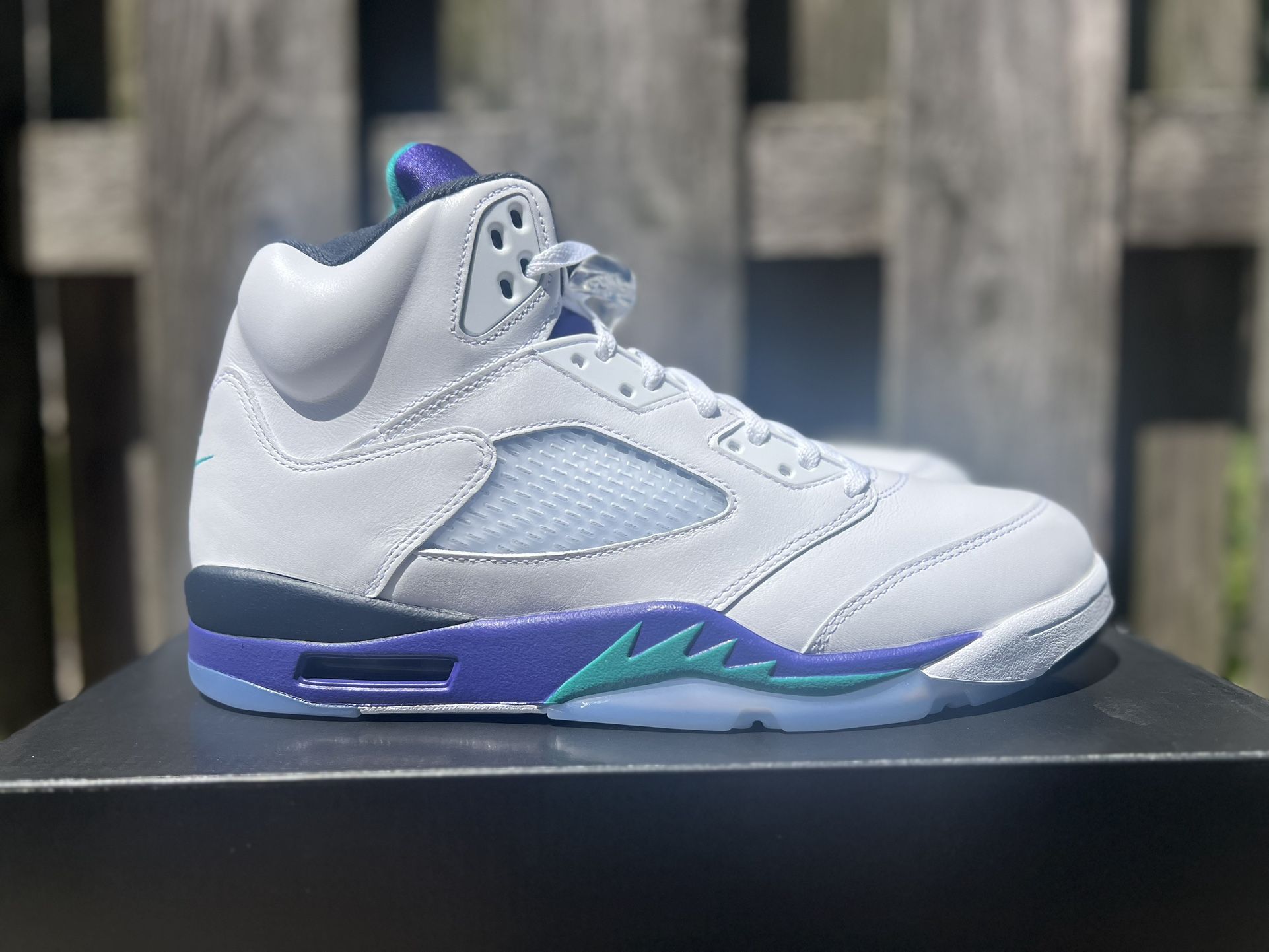 Jordan 5 Grape Size 11.5