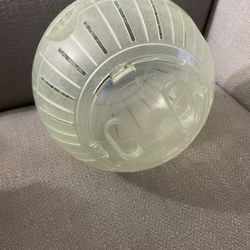 Hamster Ball