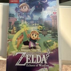 Zelda Echoes Of Wisdom