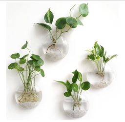Glass wall hanging planter