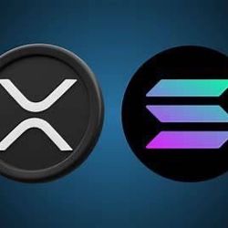 Crypto Wallet & Self-Custody Class 