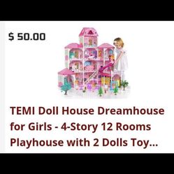 Team Doll House Dream House 