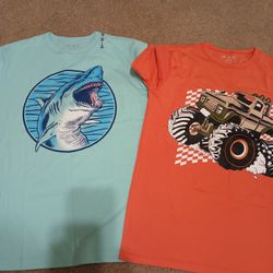 Boys Large Shirts 