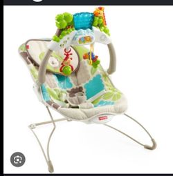 Fisher Price Baby Bouncer