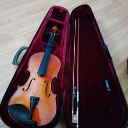 Violin