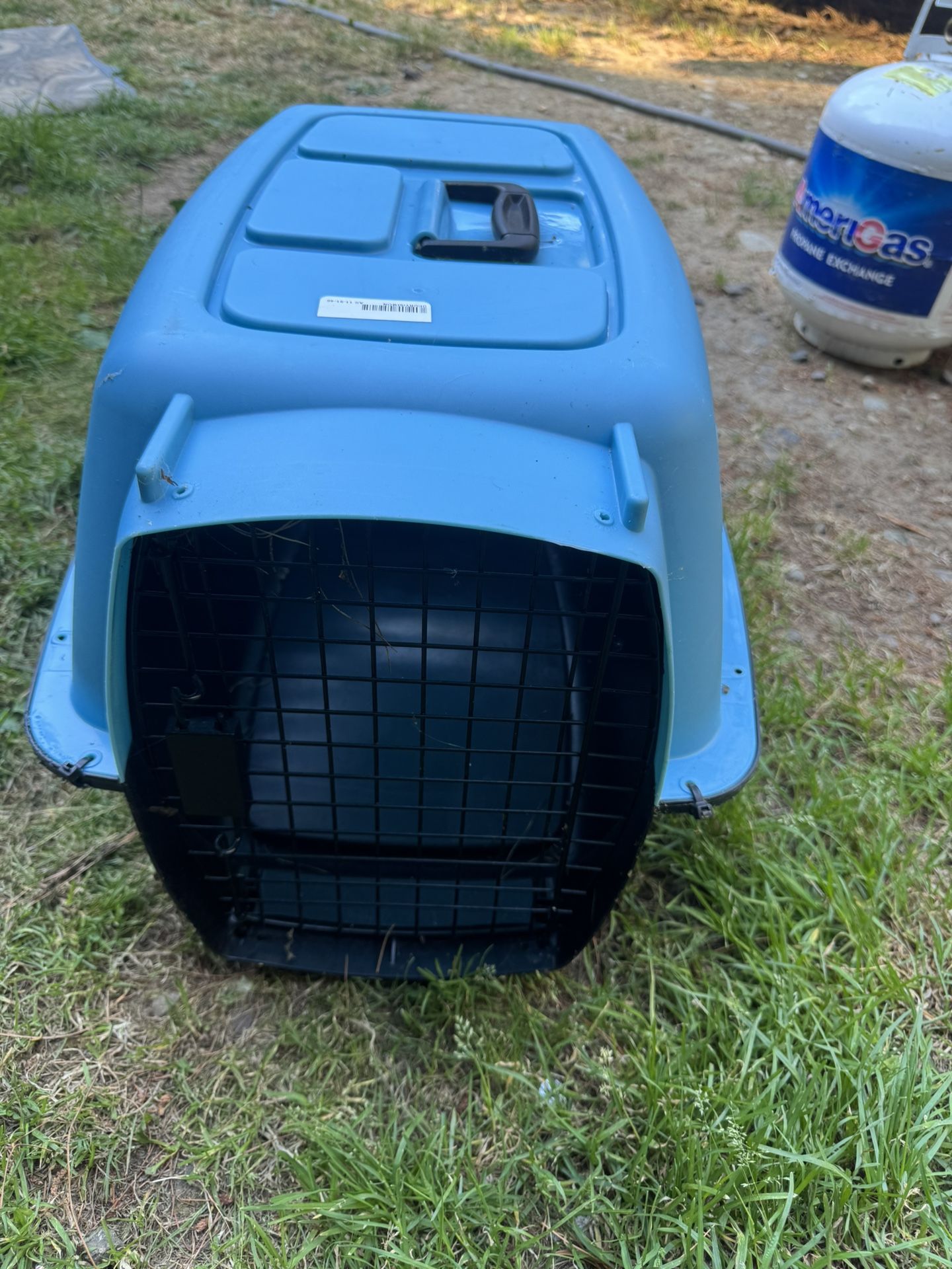 Kennel