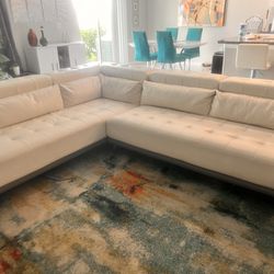 Sectional Couch & Recliner