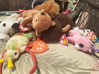 Beanie Babies Collectibles