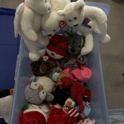 Beanie Babies And Buddies 