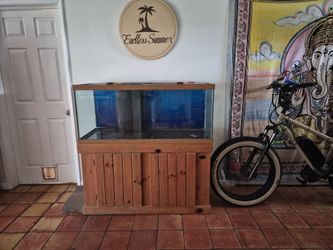 80 gallon Barrier Reef