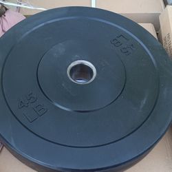 Bumper Weight Plates 
