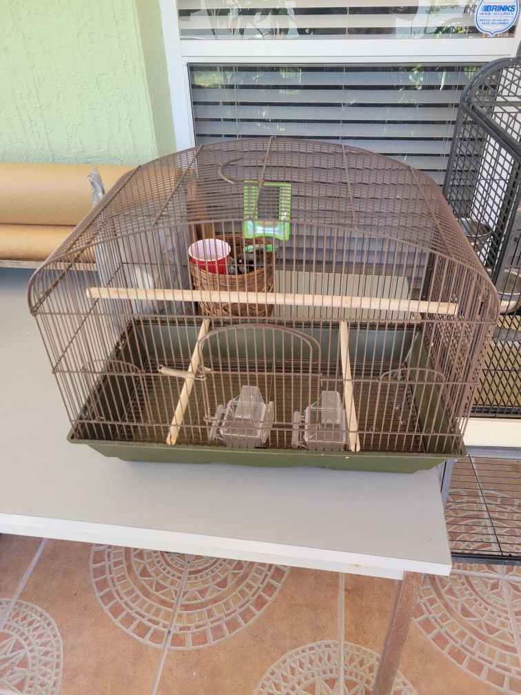 Bird Cage $50