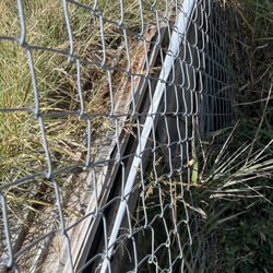 Aluminum galvanized sheets