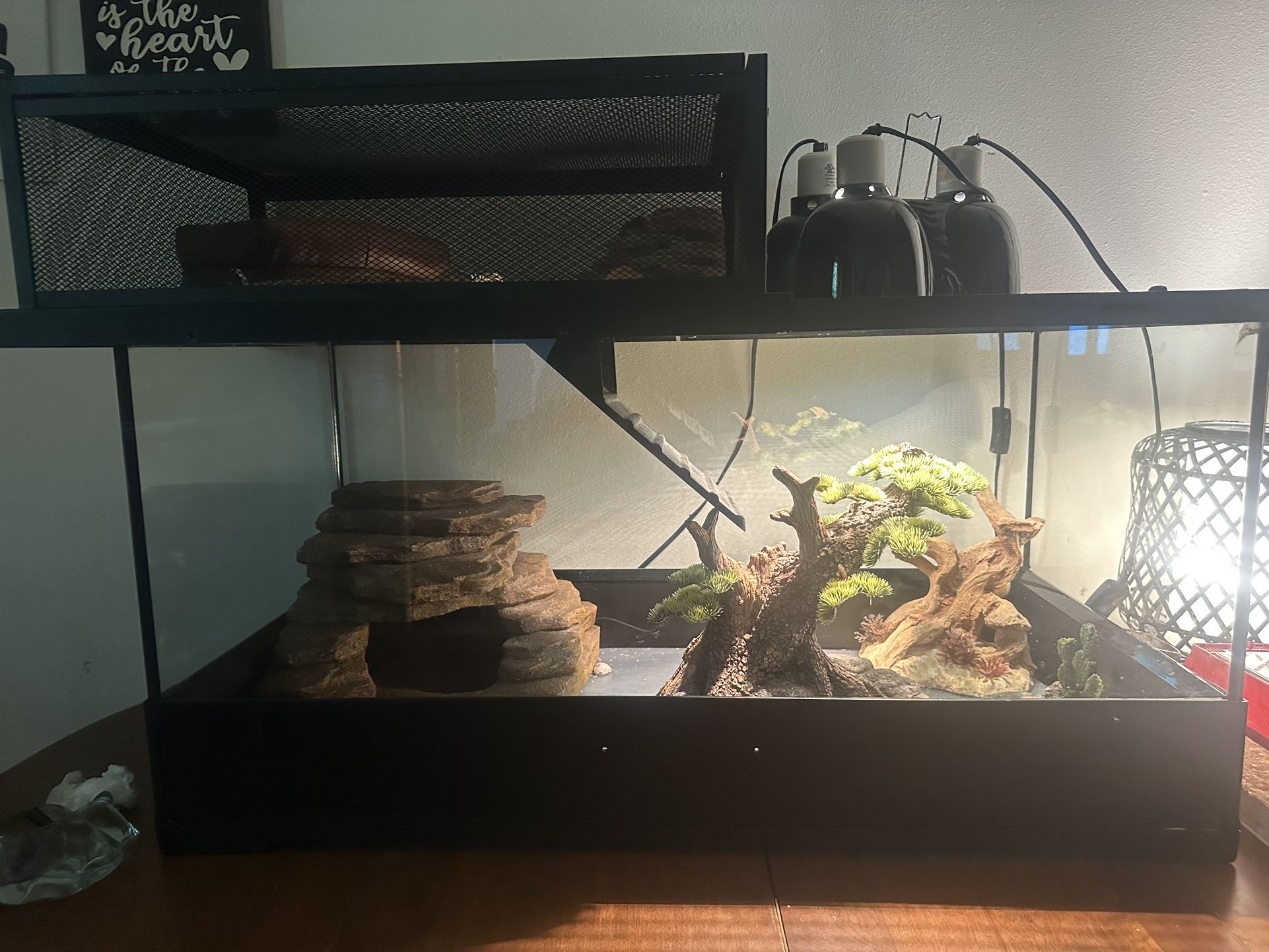 Reptile Enclosure And Everything In It Plus Accessories