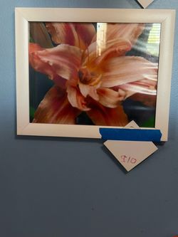 Framed Flower Photo Prints
