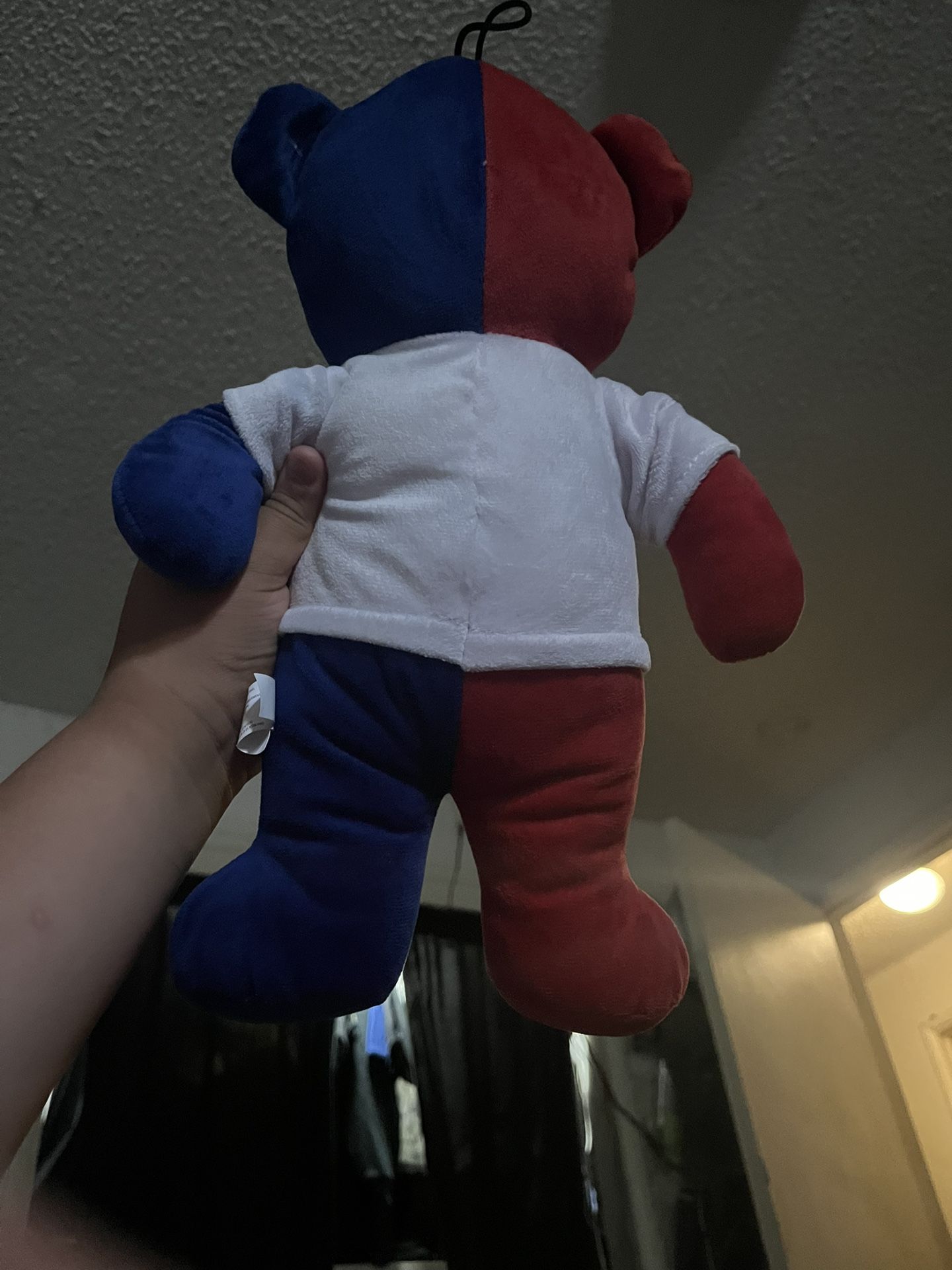 Ny Bear