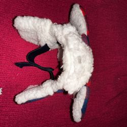 Small Dog Hat 