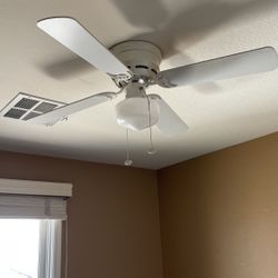 Fan