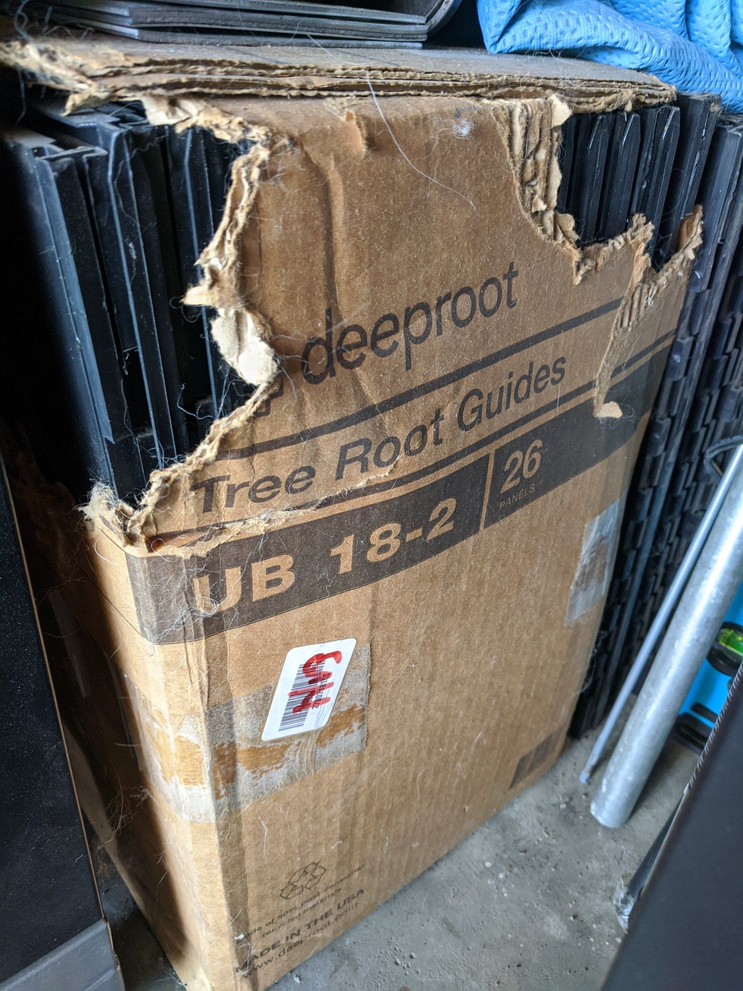 Deeproot Tree Root Guide