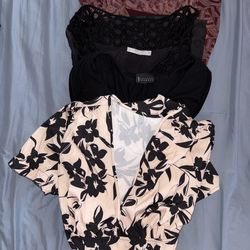 Lot of 4 Women’s Dresses – Size 2X – Great Condition