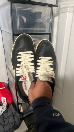 Jordan 1 retro low bike
