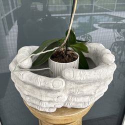 Beautiful Hands Planter Centerpiece Plant Or Candy Bowl For Garden Or Inside. Fabulously Detailed Fingers.  A Multi Purpose, Functional Work Of Art.  