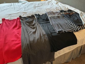 Women’s Loft Dresses & Skirts