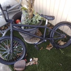 Shadow Conspiracy 100 obo