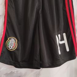 Size L
