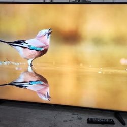 55" 4k UHD HDR Smart LED Tv 2019