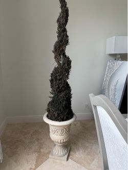 Topiary Tree with stone base