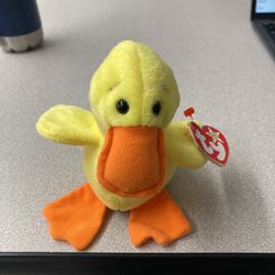 Beany baby Quakers