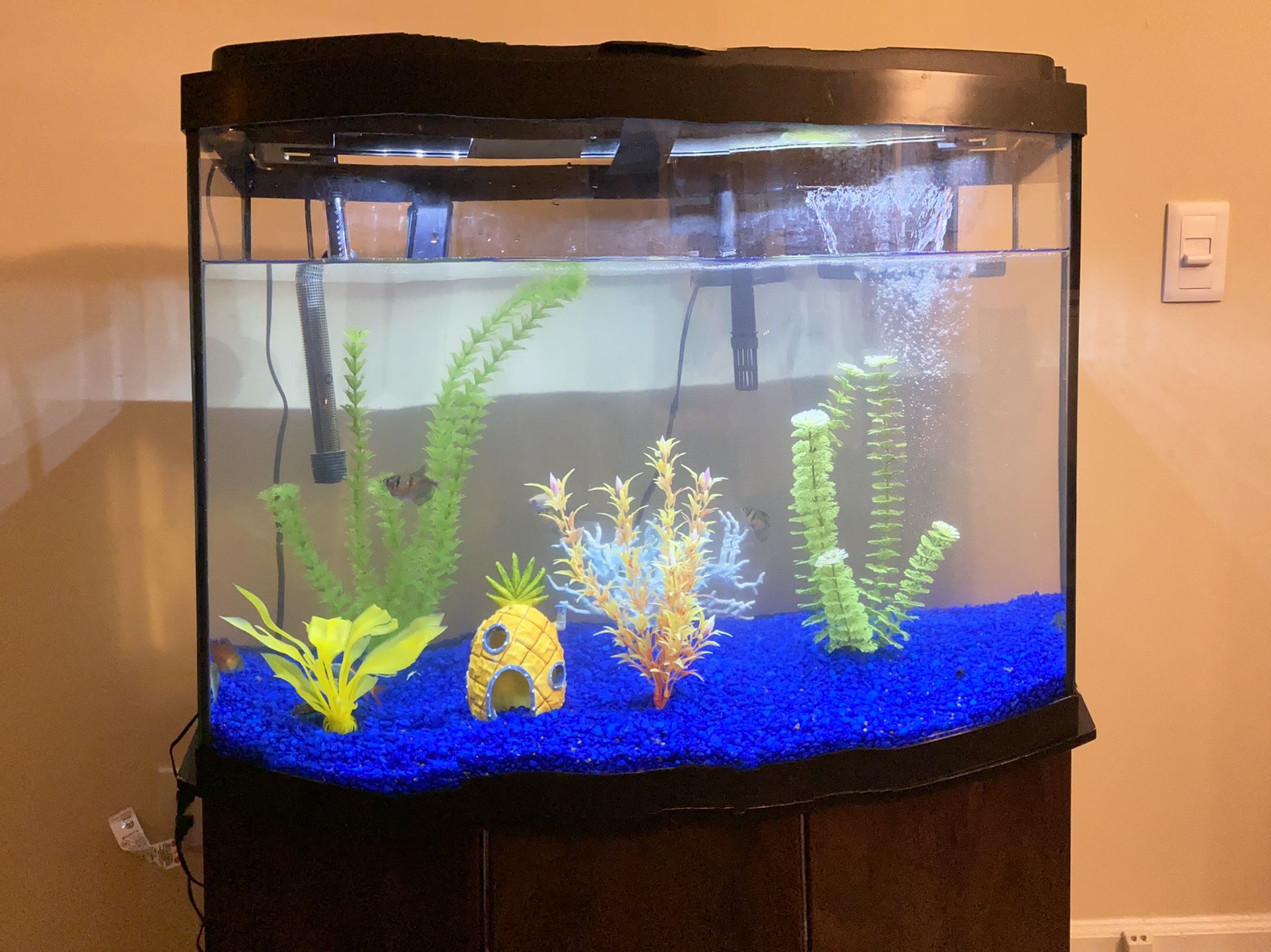 Fish tank for sale