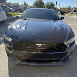 Mustang Got 2017