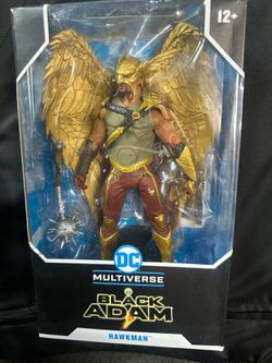 Black Adam / Hawkman DC multiverse
