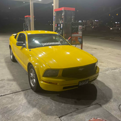 2006 Ford Mustang  Coupe 2D