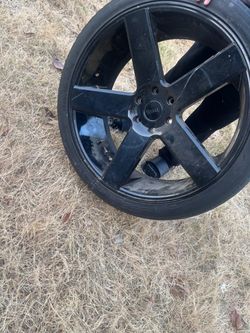 24's