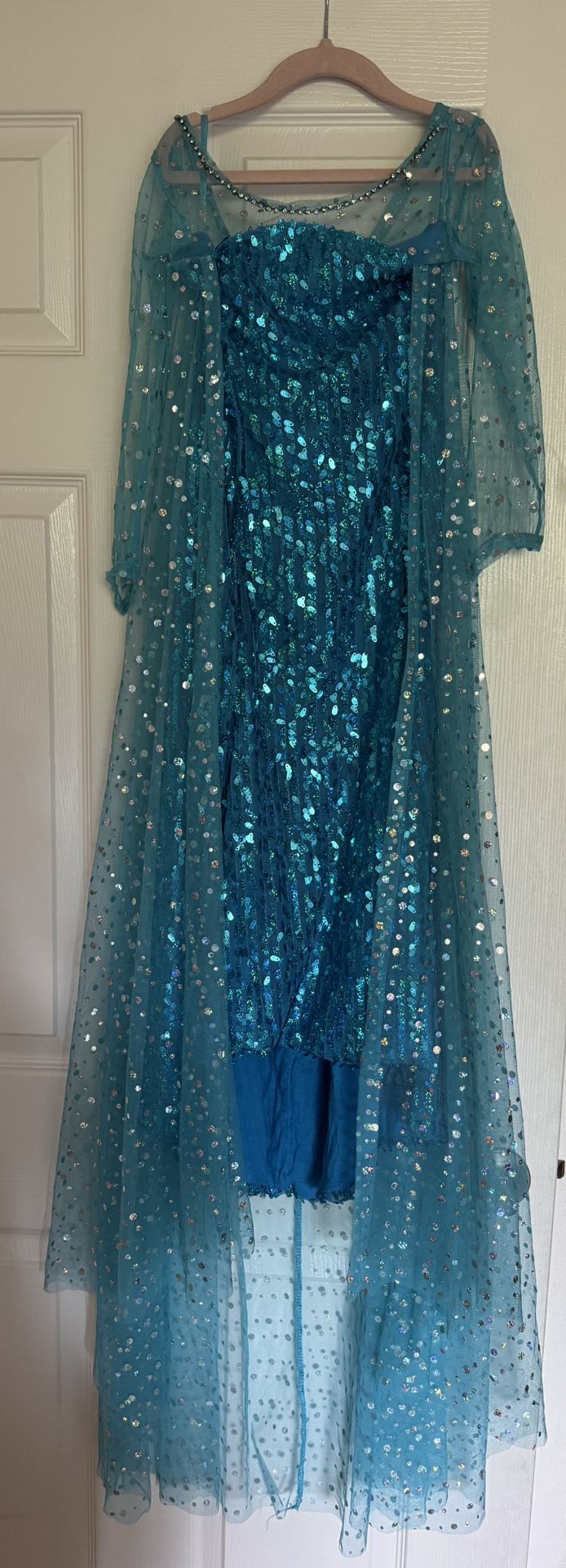 Elsa dress costume