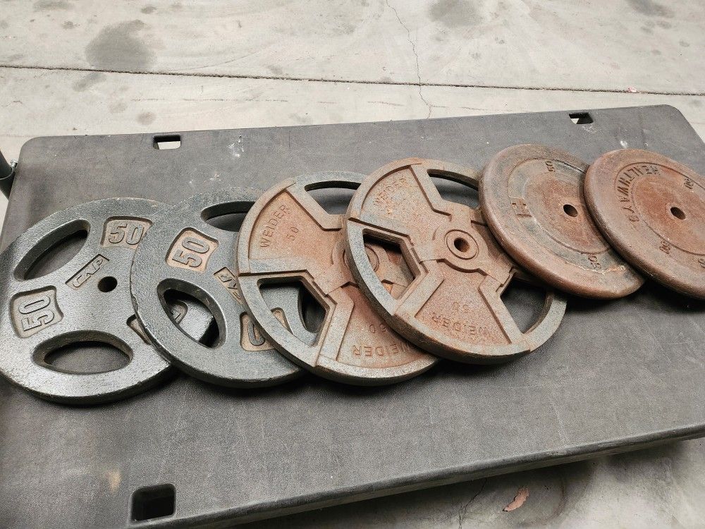 50s Standard Gym Weights $90 Pair