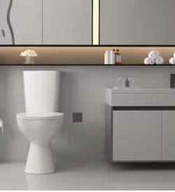 19 in discharge toilet 2 piece 1.o/1.6 GPF dual flus round toilet in white