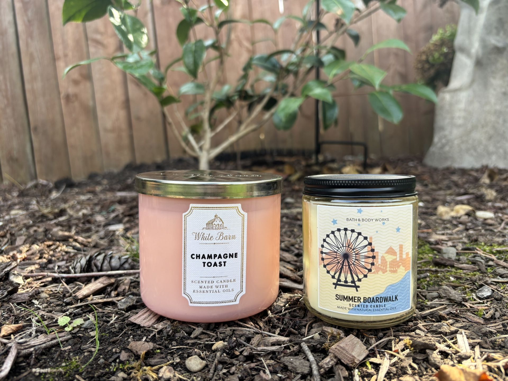 New Bath & Body Works Candles 